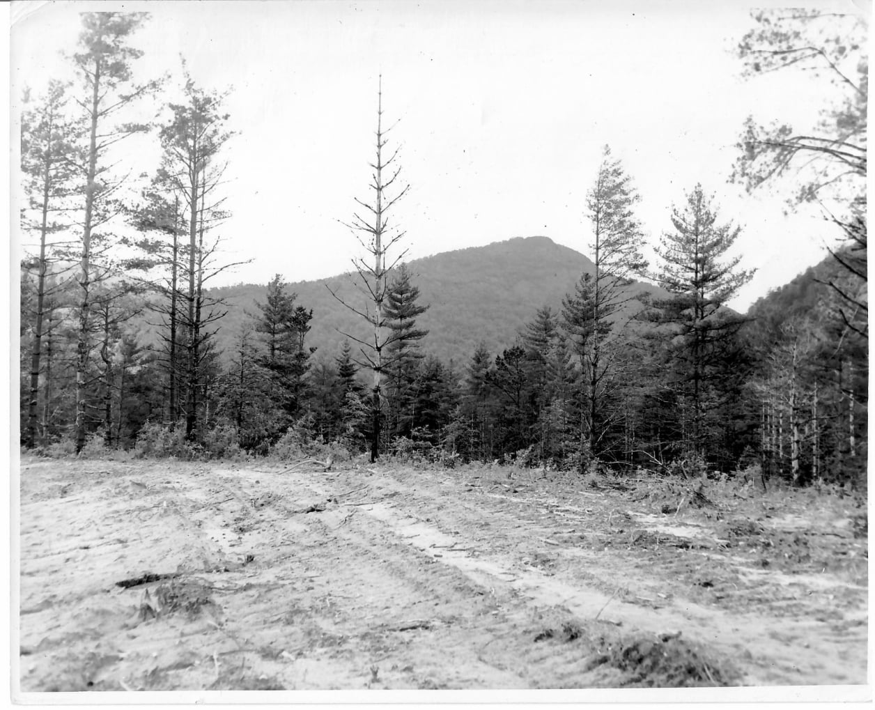 Sapphire Valley Golf Club 1955  #8