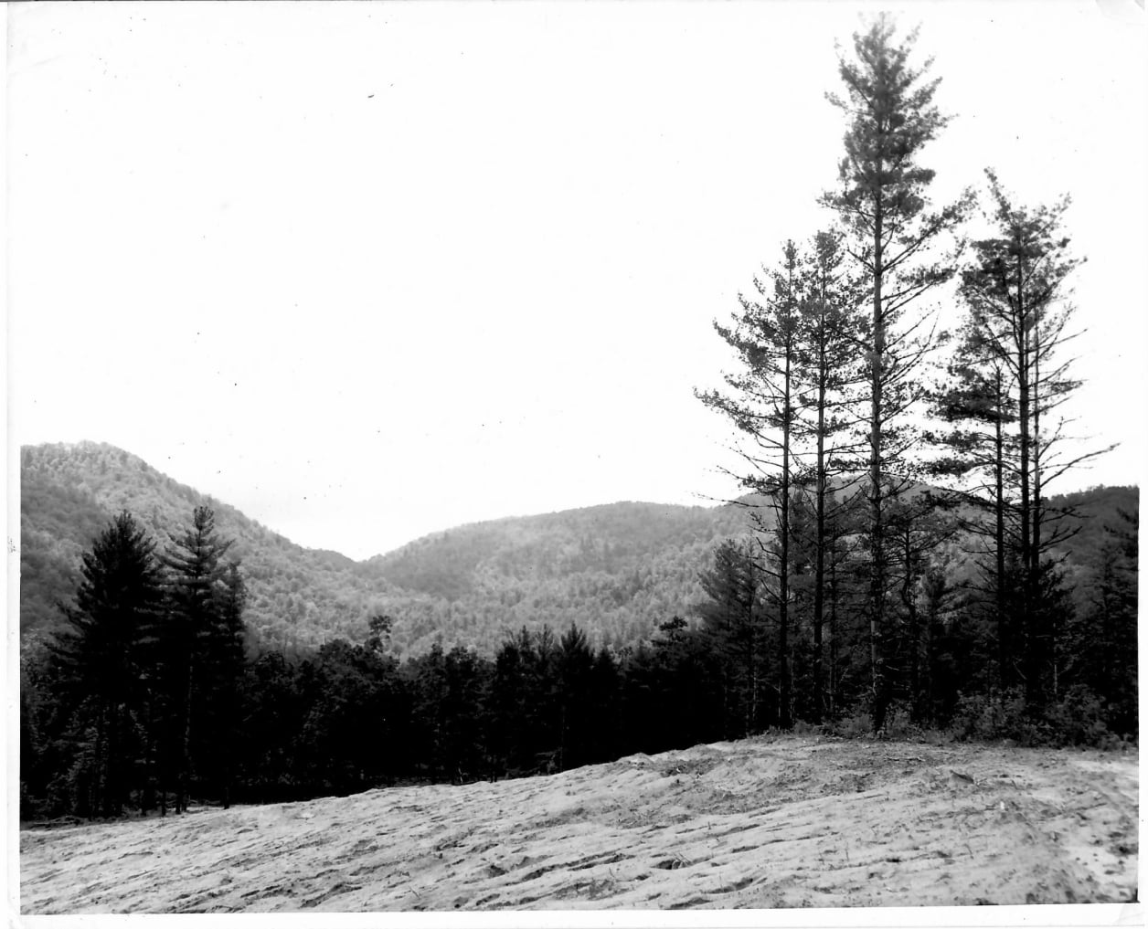 Sapphire Valley Golf Club 1955